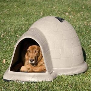 Best ways to insulate an igloo dog house