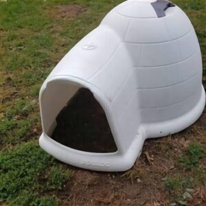 Best Ways To Insulate An Igloo Dog House - Patmydoggie