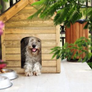 Best ways to insulate an igloo dog house