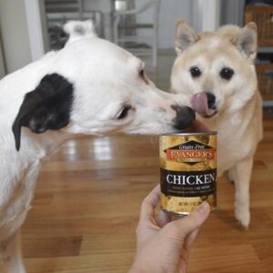 Is Canned Chicken good for dogs?