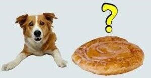 Can Dogs Eat Honey Buns? 