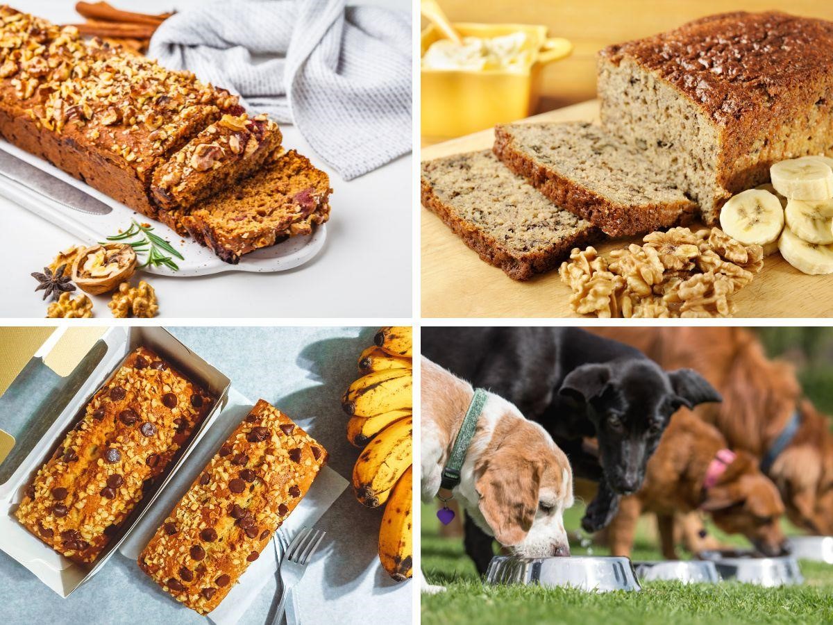 Can Dogs Eat Banana Bread with Walnuts?