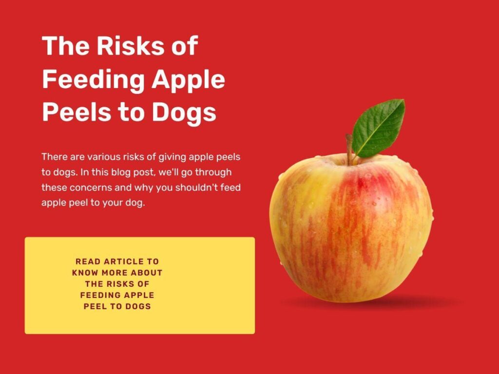 Can Dogs Eat Apple Peel?