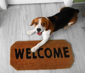 How do I get my dog to walk on tile floors?