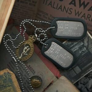 Why did the Navy stop issuing Dog tags?
