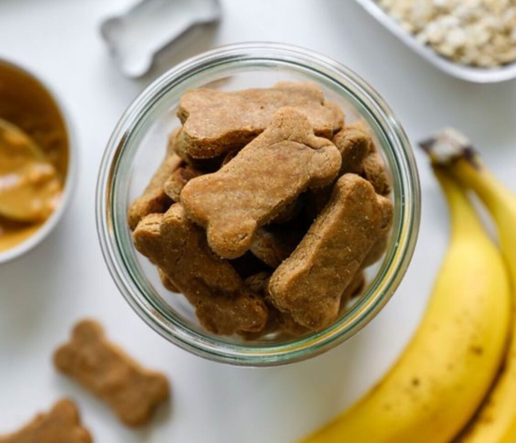 Cute and Easy DIY Dog Treat Recipes