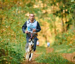 Fun Outdoor Activities to Enjoy with Your Dog