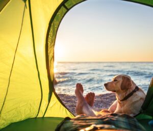 Fun Outdoor Activities to Enjoy with Your Dog