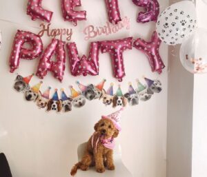 Celebrating Your Dog's Birthday: Fun Ideas for a Paw-some Party!