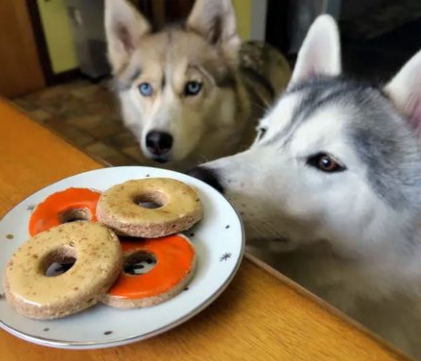 10 Homemade Dog Treat Recipes Your Pup Will Love