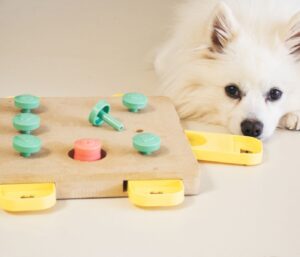 Top 5 Indoor Games to Keep Your Dog Entertained on Rainy Days