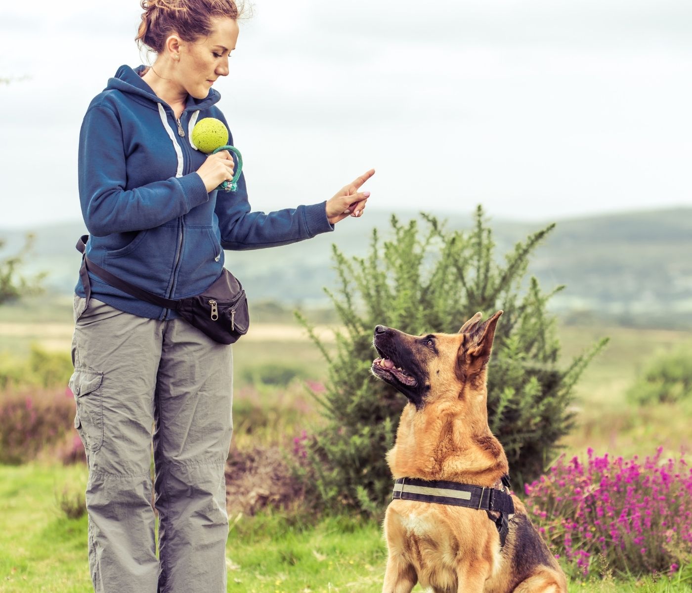 The Health Benefits of Regular Exercise for Dogs: Fun Activities to Keep Them Fit